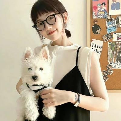 住在海边的猫头鹰